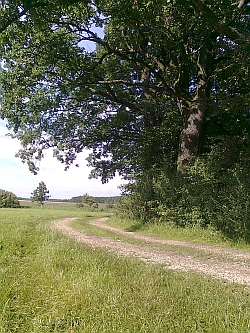 ubytování Třeboňsko - Slepičí vršek