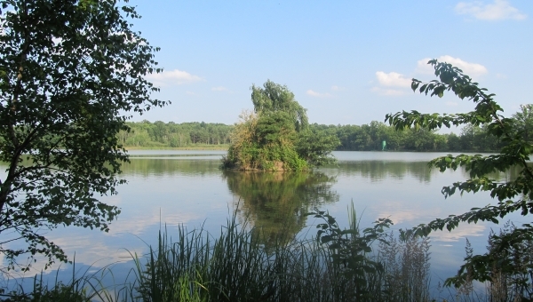 Naučná stezka Veselské pískovny