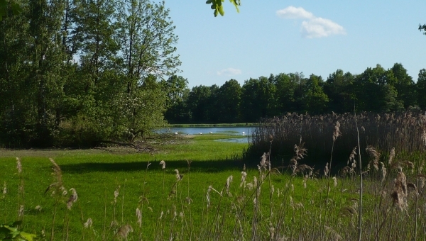 Krajinou rybníků – Frahelžská soustava